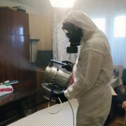 Дезинфекция от клопов в Няндоме