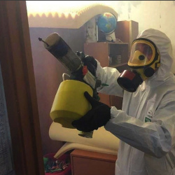 Уничтожение клопов в квартире. Няндома